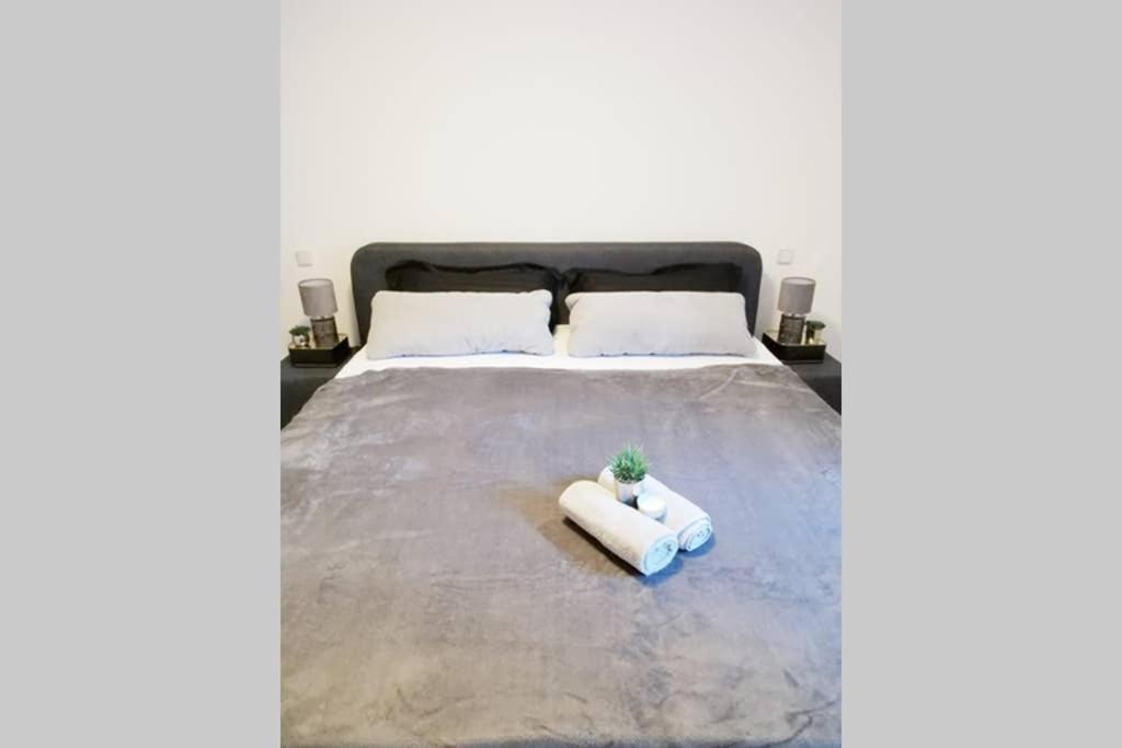 Ferienwohnung Rhode Rielasingen-Worblingen ภายนอก รูปภาพ